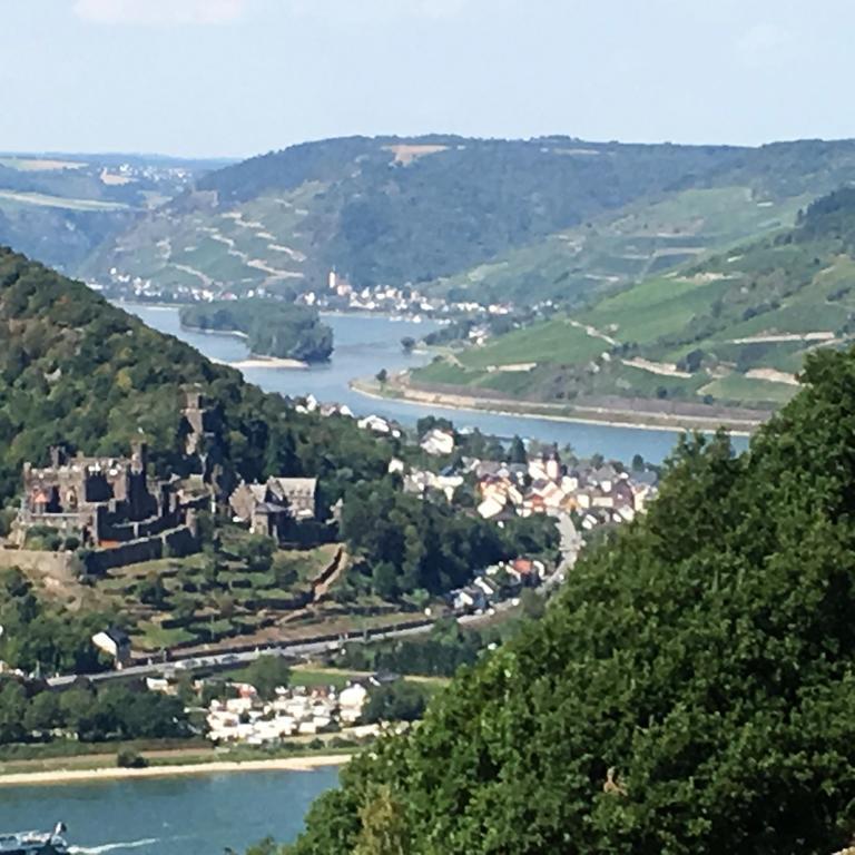 Landgasthof Germania Rüdesheim am Rhein Eksteriør billede